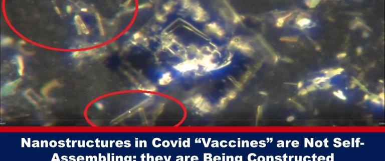 Nanostruktury ve „vakcínách“