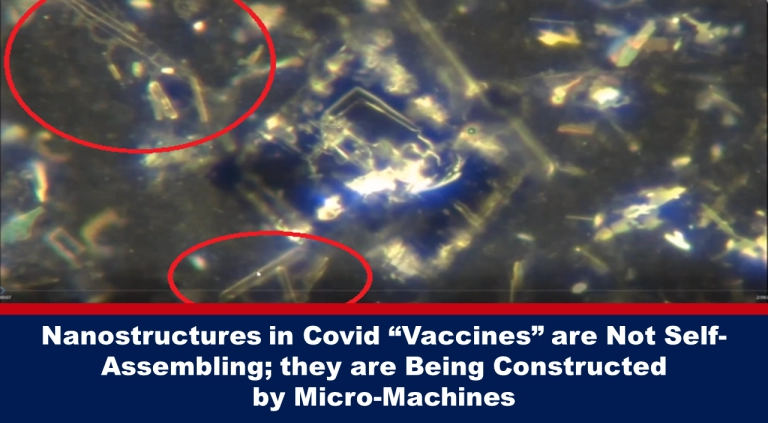 Nanostruktury ve „vakcínách“