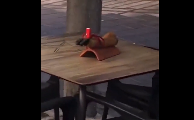 Snimek-obrazovky-2025-11-22-110826