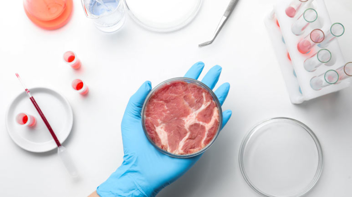 lab-grown-meat-companies